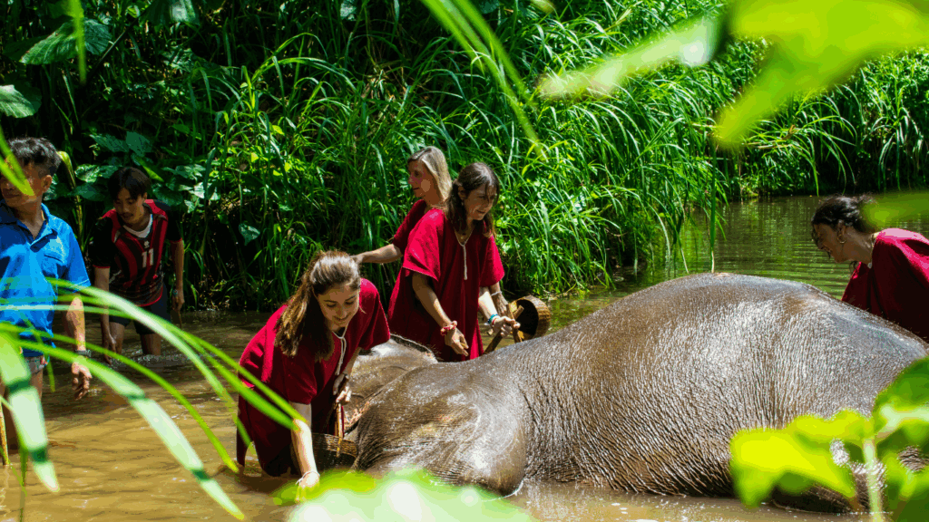 Familia participando en una actividad de elefantes en Chiang Mai