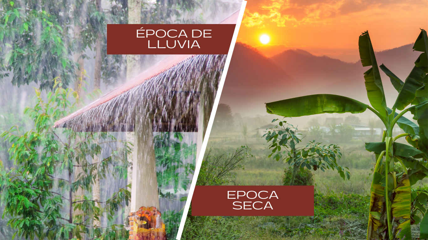 Viajar en época seca o de lluvias en Tailandia - ASIAN SPIRIT